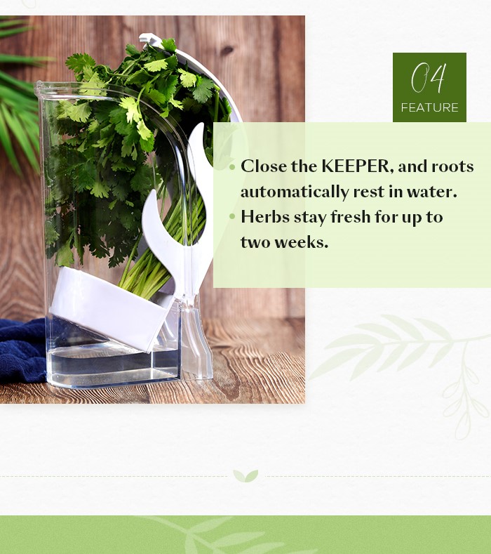 herb keeper