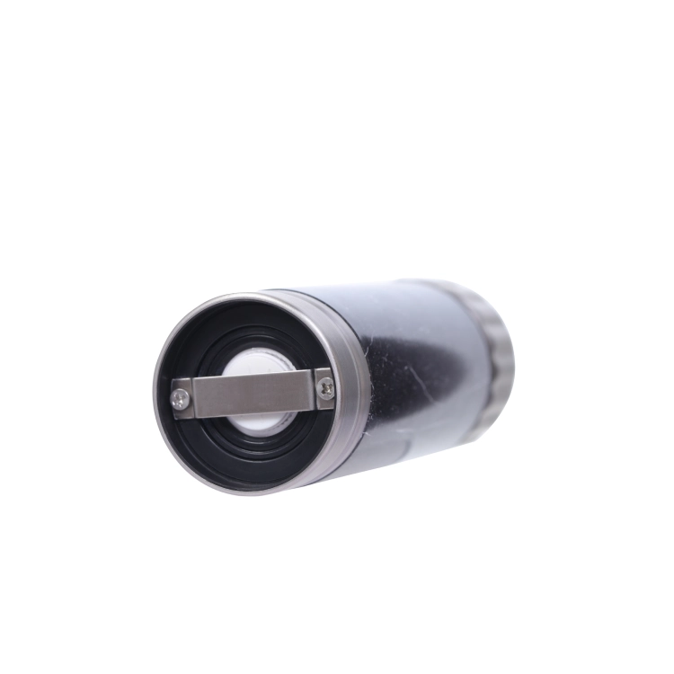 Stainless Steel Salt and Pepper Mill #8358204301