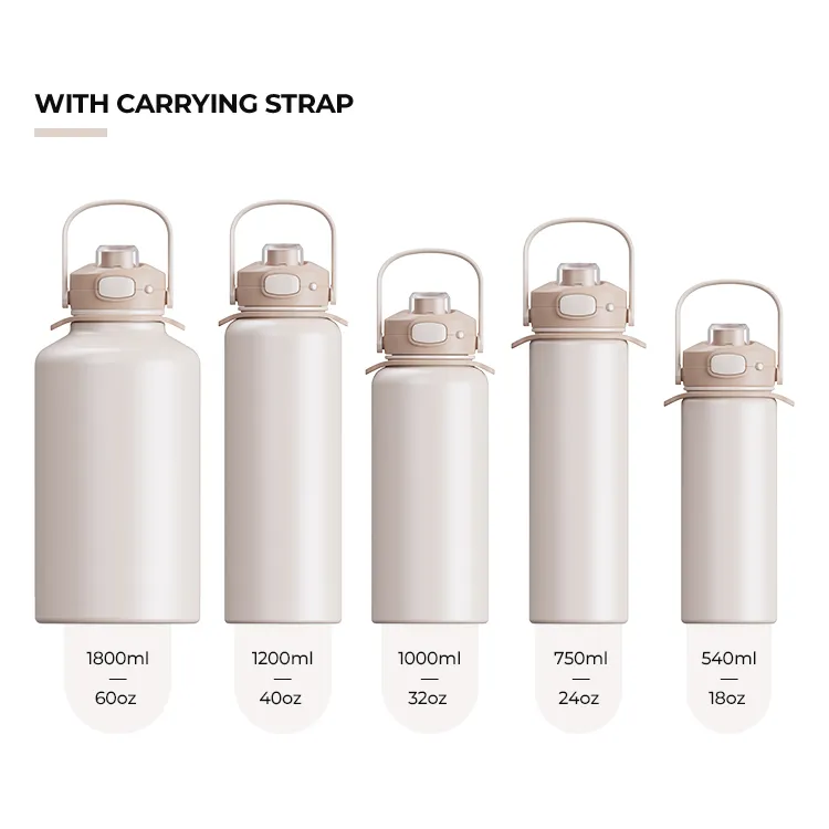 Leak Proof Stainless Steel Insulated Water Bottle #69886001 (1)